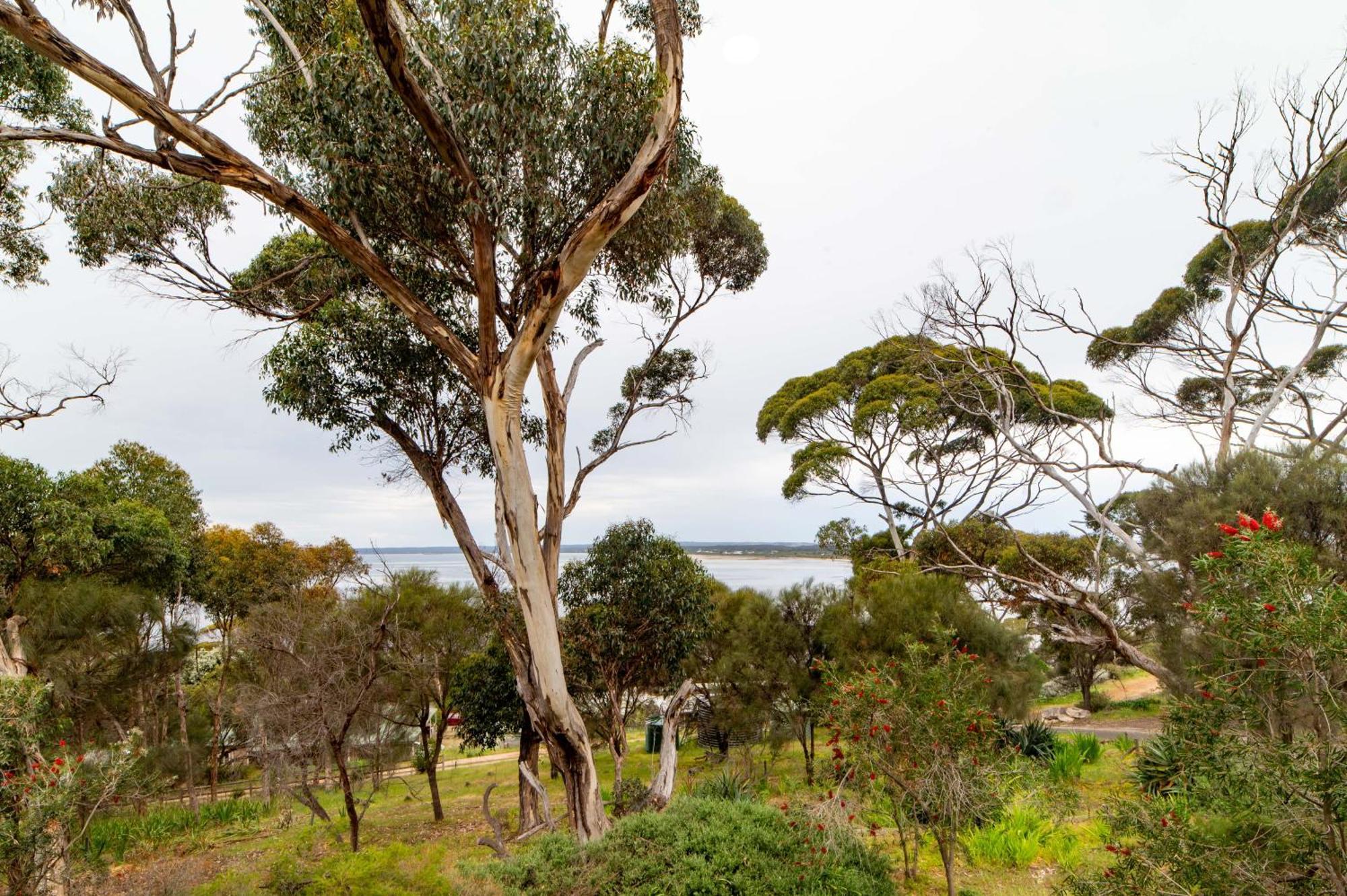 The River Suites, Kangaroo Island American River Exterior photo